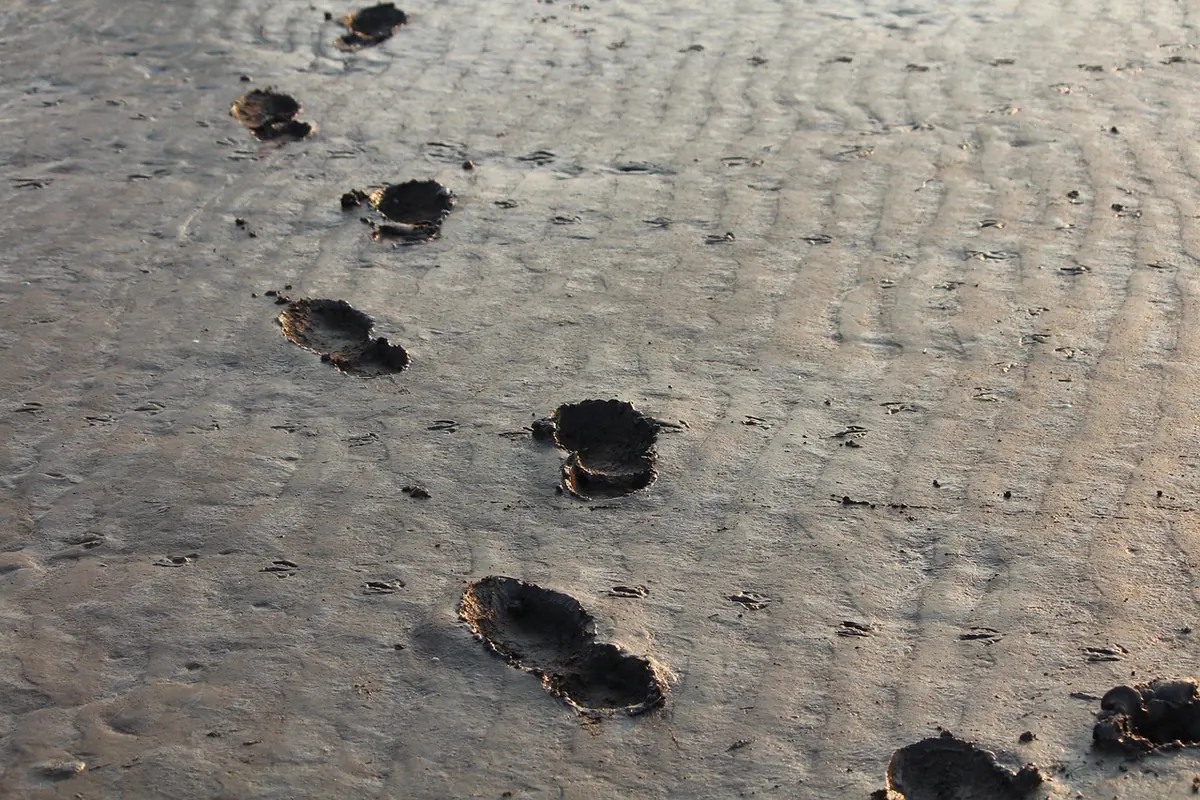 How to Read a Tide Table Before a Day on the Beach